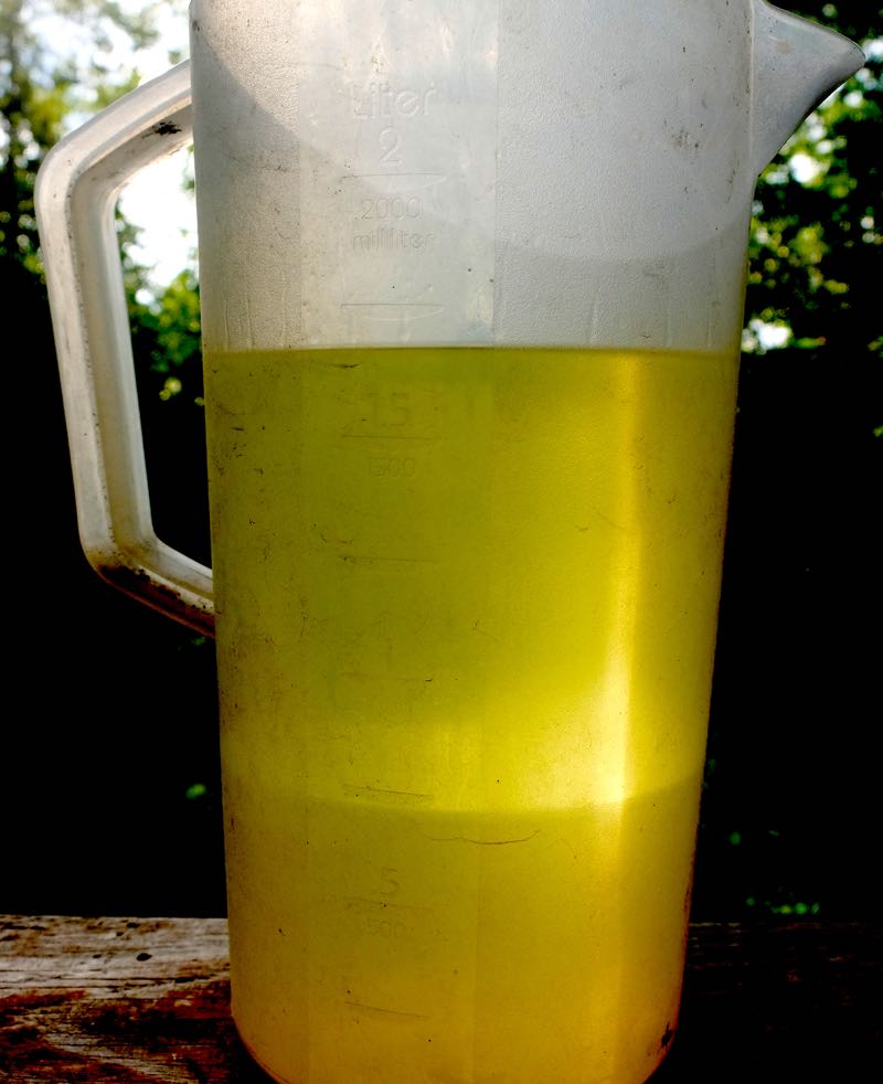 No, it's not beer. It's gasoline floating atop water collected by ethanol. (Credit: Dennis E. Powell)